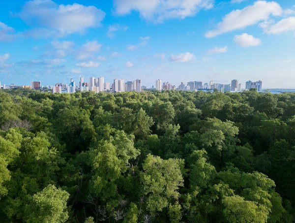 Découvrez l'élégance intemporelle de la pierre naturelle