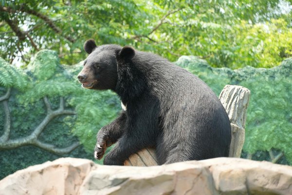 10 stratégies innovantes pour l'avenir de l'énergie renouvelable