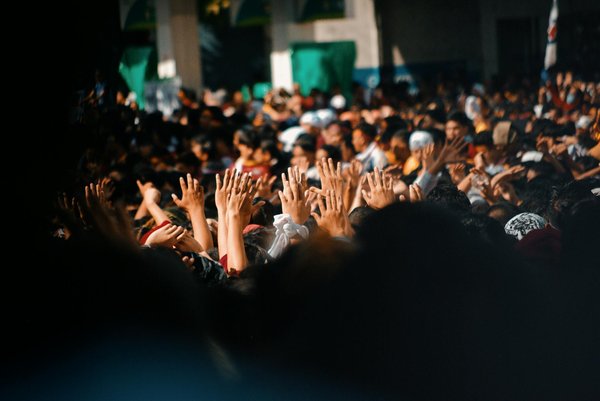 Panneau solaire photovoltaïque : des clients témoignent de leur succès !