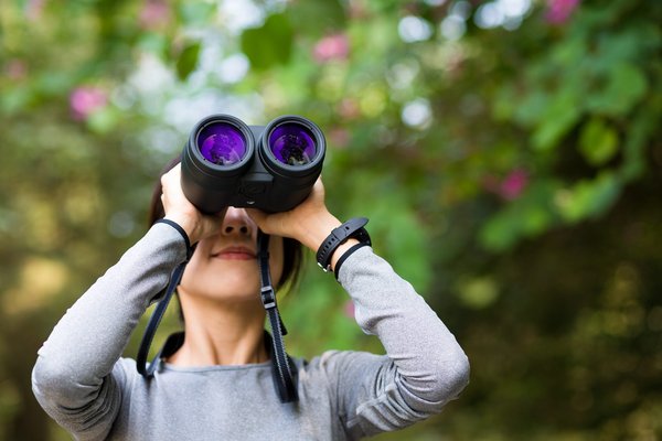 Comparatif jumelles 10x42 : trouvez le modèle idéal pour vous